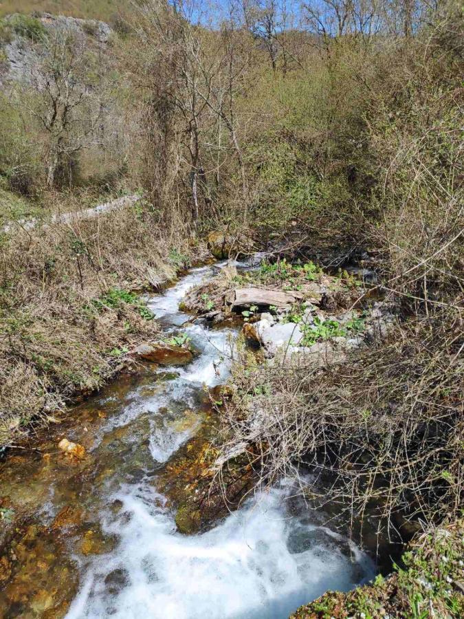 Cottage Modrich Struga Buitenkant foto