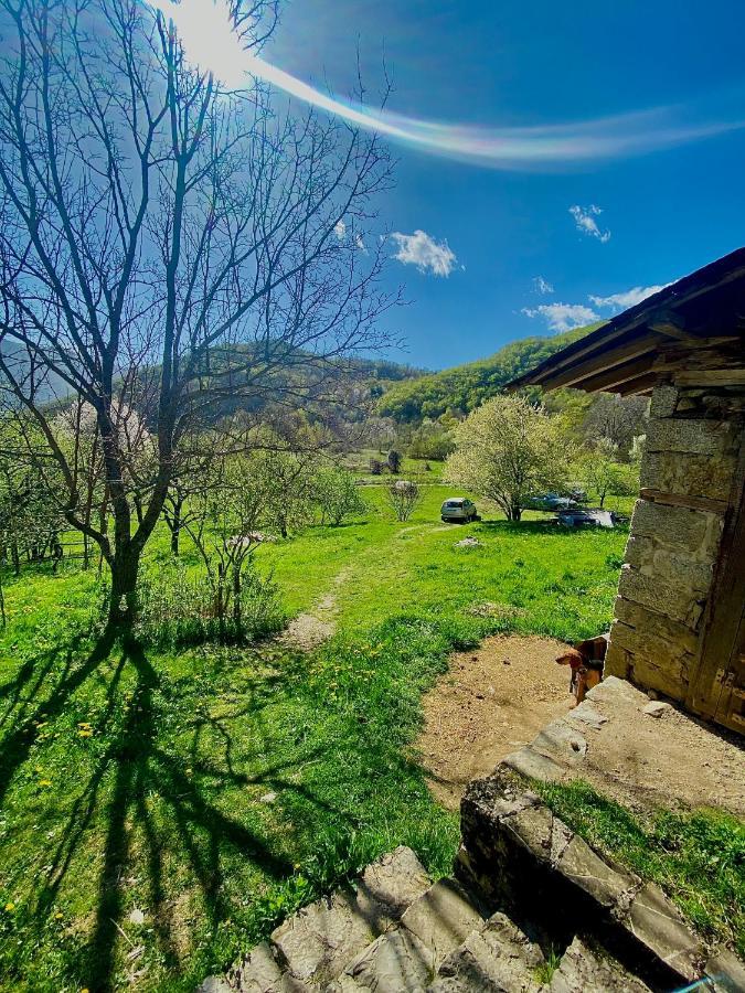 Cottage Modrich Struga Buitenkant foto