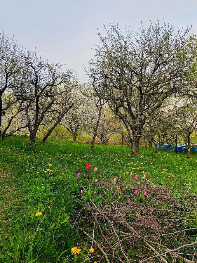 Cottage Modrich Struga Buitenkant foto