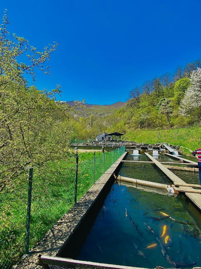 Cottage Modrich Struga Buitenkant foto