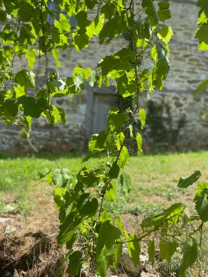 Cottage Modrich Struga Buitenkant foto